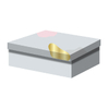 Storage box